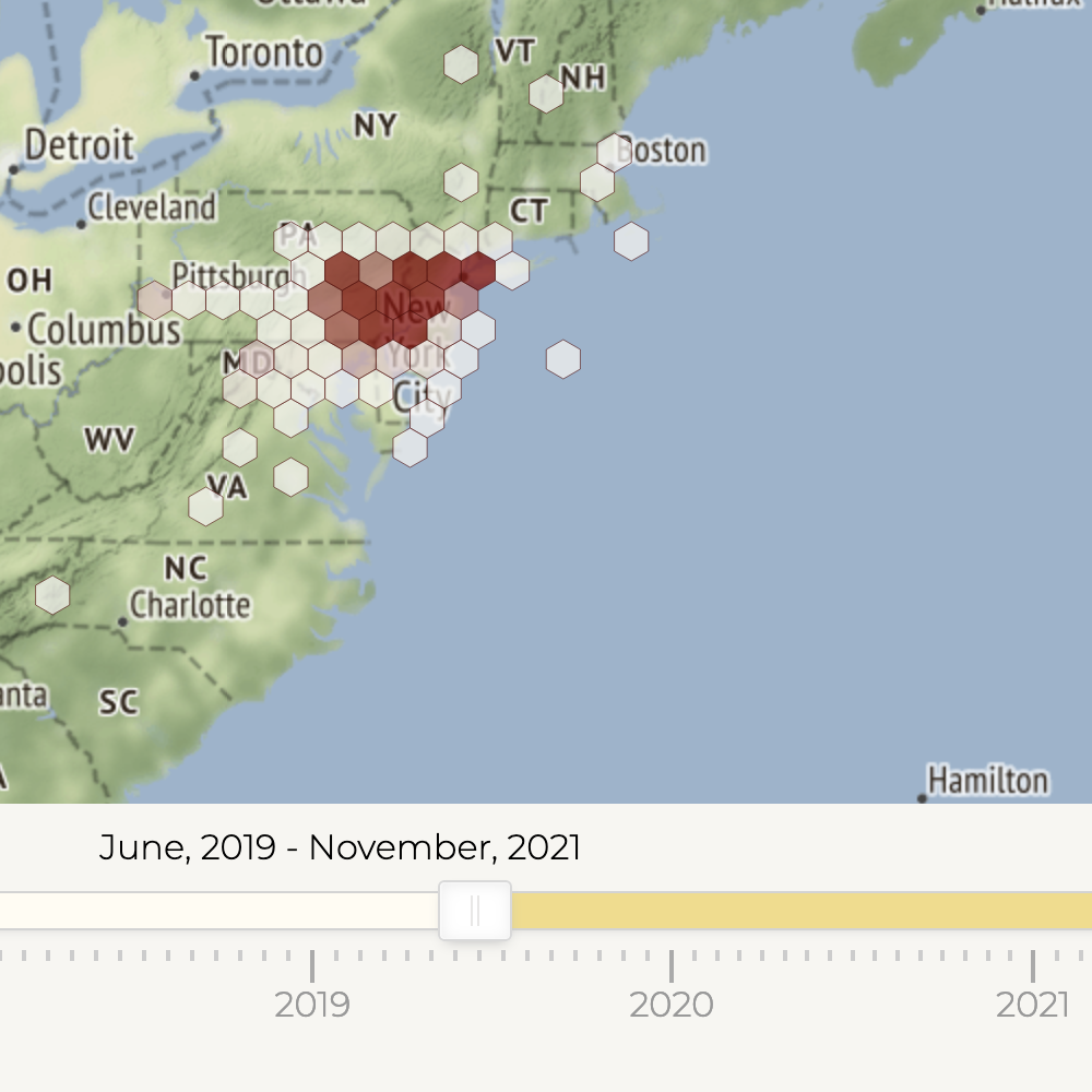 lanternfly project page